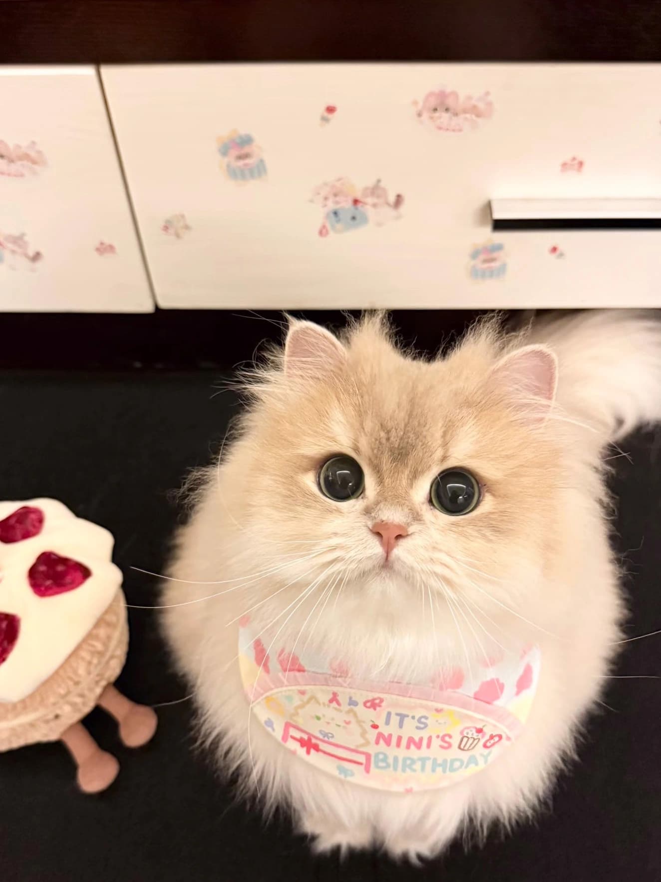 Original pet photo for Anime style